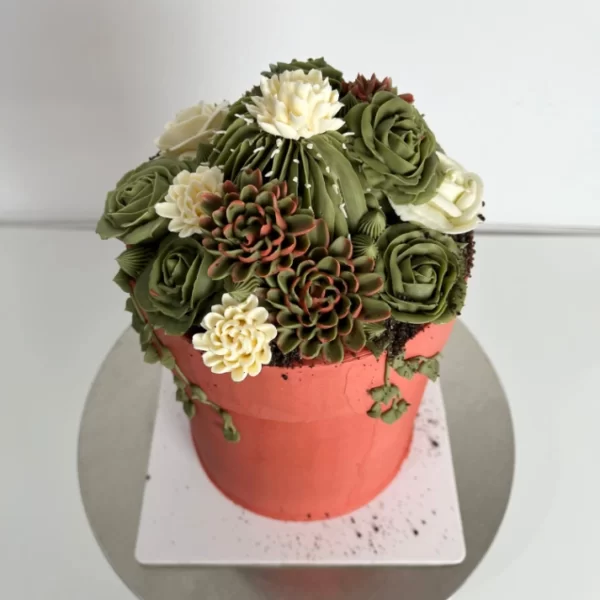 Succulent Pot - Image 7