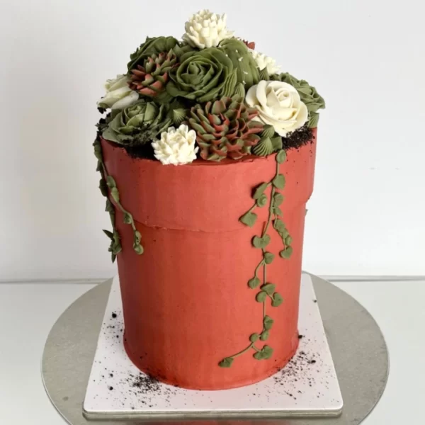 Succulent Pot - Image 3