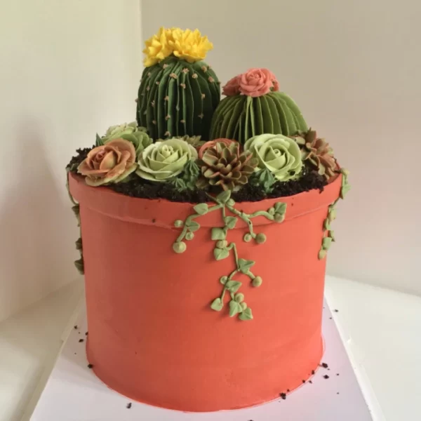 Succulent Pot