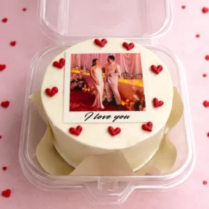 Bento Edible Image Cake